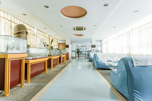 IMG_7347.jpg IMG_7347.jpg