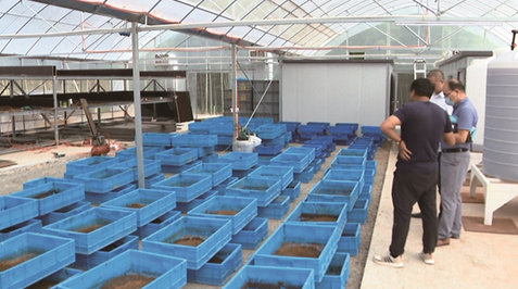 企业微信截图_20200907090744.png 企业微信截图_20200907090744.png