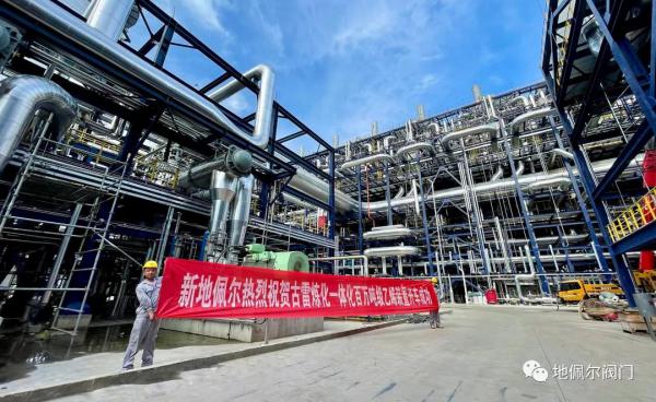 新地佩尔专精特新再突破,百万吨级乙烯装置止回阀全覆盖 新地佩尔专精特新再突破,百万吨级乙烯装置止回阀全覆盖