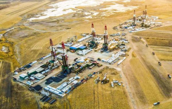 1629859731810092089.jpg 3.jpg