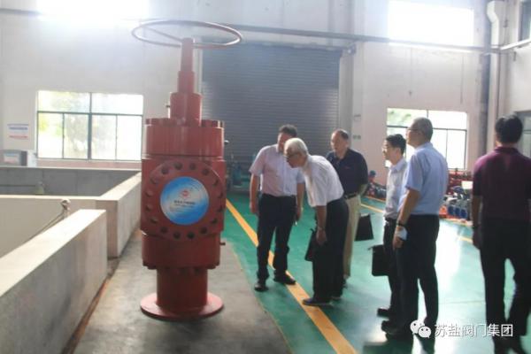 鉴定会专家考察样机生产和试验现场 鉴定会专家考察样机生产和试验现场