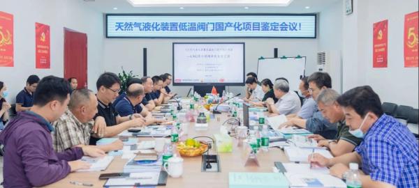 重庆川仪“天然气液化装置低温阀门国产化”项目--LNG深冷球阀样机成功通过鉴定 重庆川仪“天然气液化装置低温阀门国产化”项目--LNG深冷球阀样机成功通过鉴定