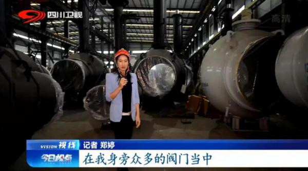 成高阀门丁骐:制造业单项冠军的秘诀 成高阀门丁骐:制造业单项冠军的秘诀