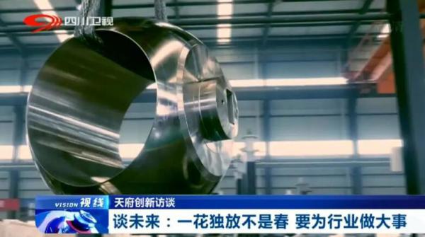 成高阀门丁骐:制造业单项冠军的秘诀 成高阀门丁骐:制造业单项冠军的秘诀