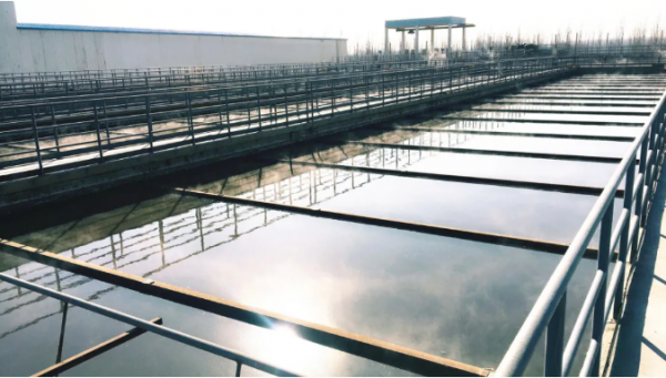 1635743816442916.png image.png