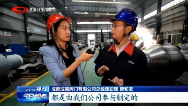 成高阀门丁骐:制造业单项冠军的秘诀 成高阀门丁骐:制造业单项冠军的秘诀