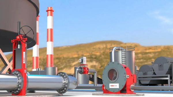 NelesɶFlowroxķźͱҵչ