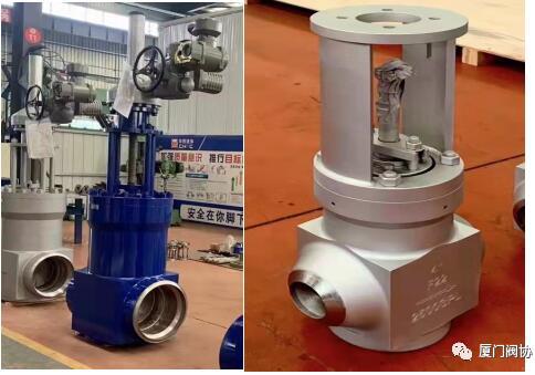 华西流体控制技术(工程)研究院 正式挂牌成立