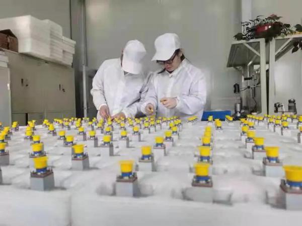 远征公司特种阀事业部保交付现场侧记 远征公司特种阀事业部保交付现场侧记