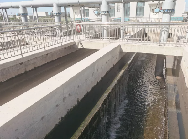 1639099509696612.png image.png