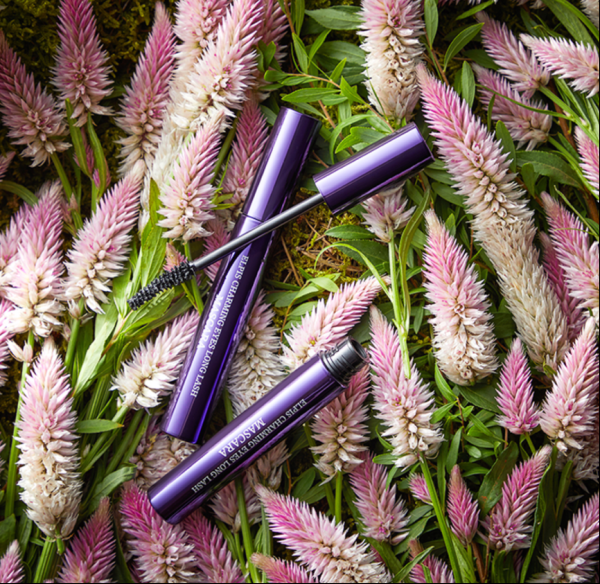 532425.png 532425.png