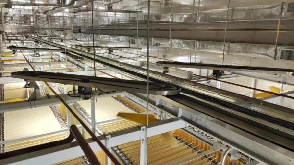  ͳ״Ʒܻӹؼװз뼯ӦáĿ