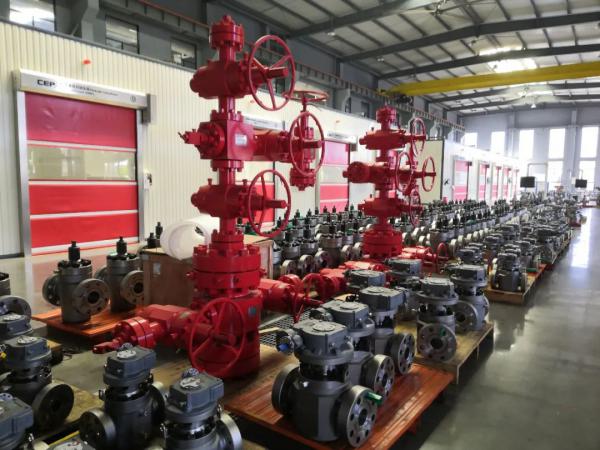 西派集团第1季度开票销售3000万元,在手订单4500多万元 西派集团第1季度开票销售3000万元,在手订单4500多万元