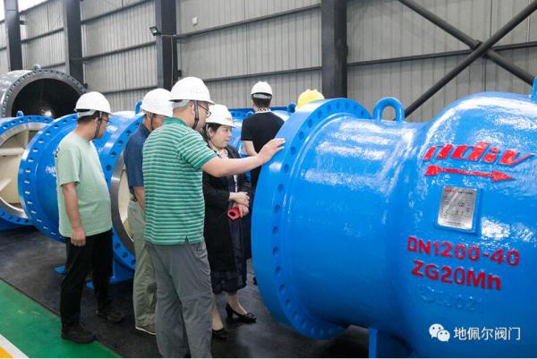 中高扬程长距离输水泵站工程大口径轴流式止回阀通过科技成果评价 中高扬程长距离输水泵站工程大口径轴流式止回阀通过科技成果评价