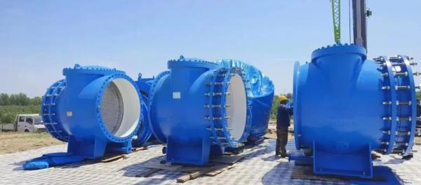 武汉大禹阀门设备顺利通过国家重点水利项目出厂验收 武汉大禹阀门设备顺利通过国家重点水利项目出厂验收