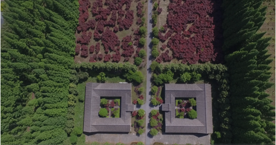 1721275748699022.png image.png