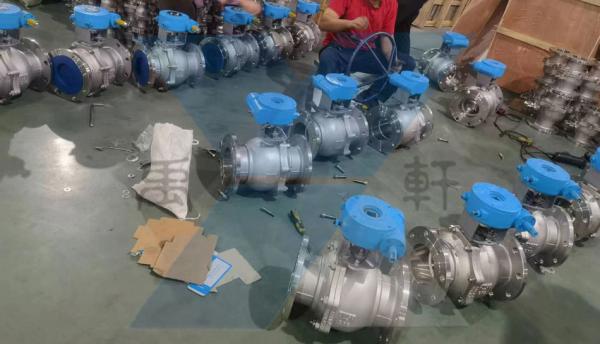 Q341F-16P-DN200򷧳ɹװԣƸۻĿ(ͼ1)