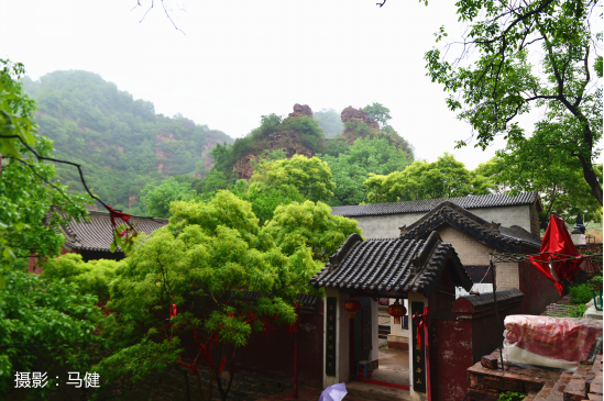 爱情山到处是蓬勃的生机。