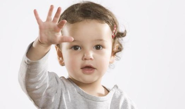 家有儿女全脑开发 家有儿女全脑开发