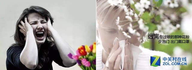 赏花正当时 花粉过敏的小伙伴们怎么破?