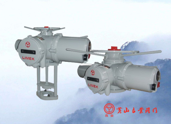 阀门电动执行器 阀门电动执行器