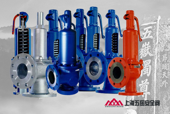 LESER安全阀 LESER安全阀