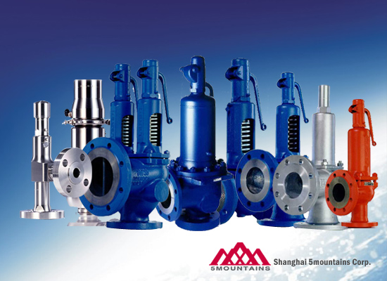 LESER安全阀 LESER安全阀