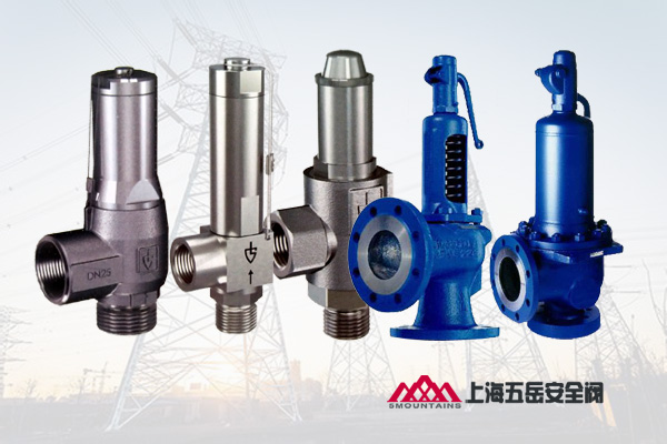 LESER安全阀ETZE安全阀.jpg LESER安全阀ETZE安全阀.jpg